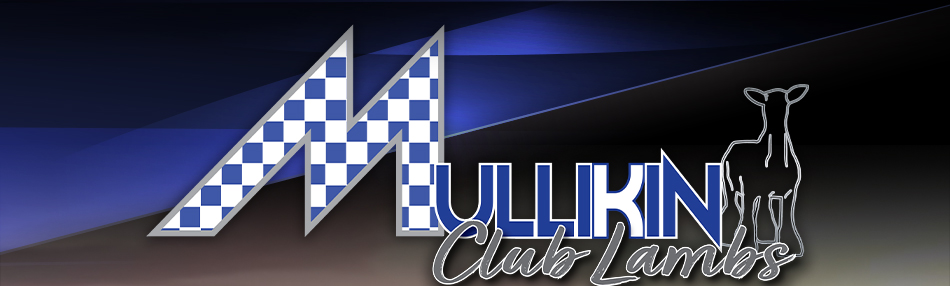 Mullikin Club Lambs