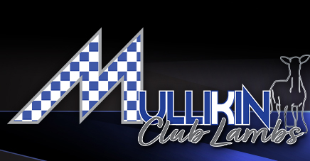 Mullikin Club Lambs