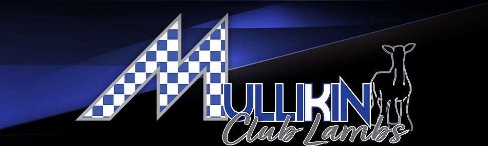 Mullikin Club Lambs