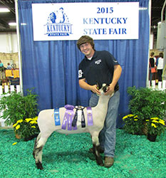 Mullikin Club Lambs Winner