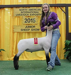 Mullikin Club Lambs Winner
