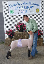 Mullikin Club Lambs Winner